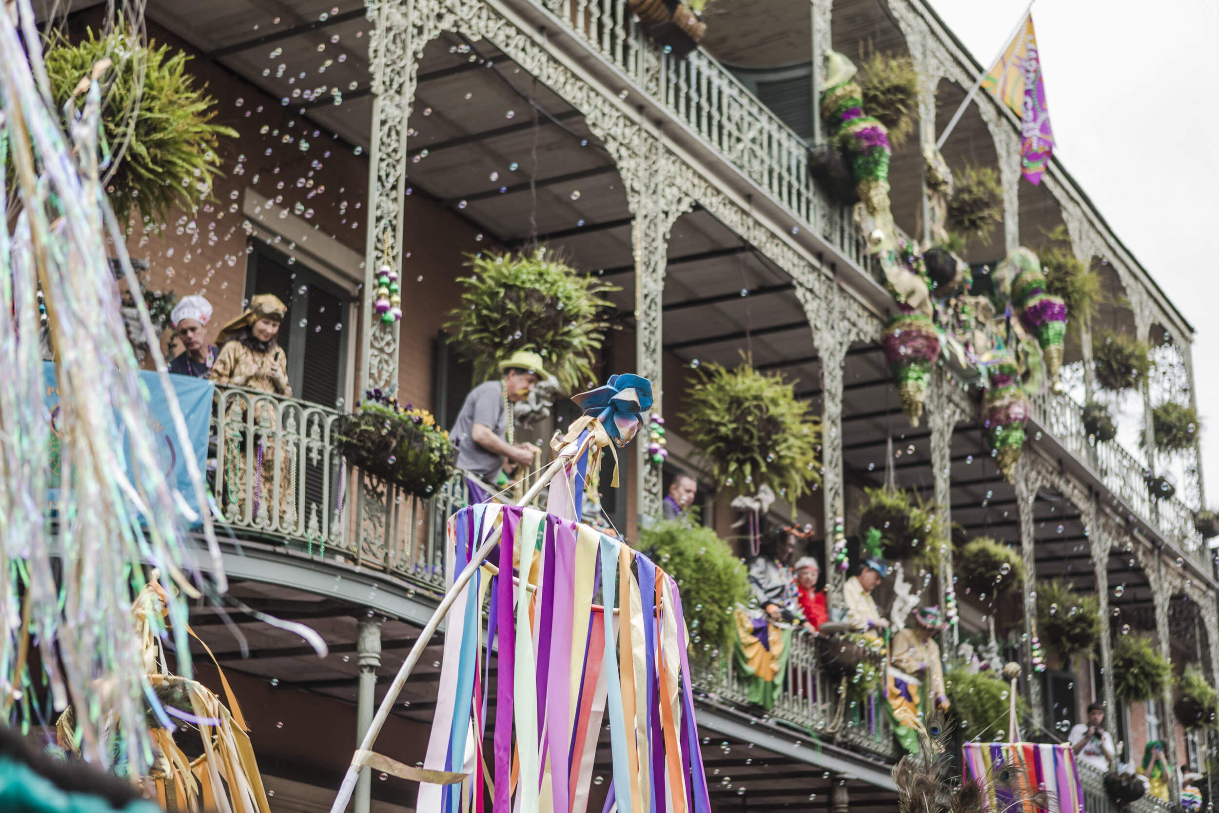 Mardi Gras 2020 web-92.jpg