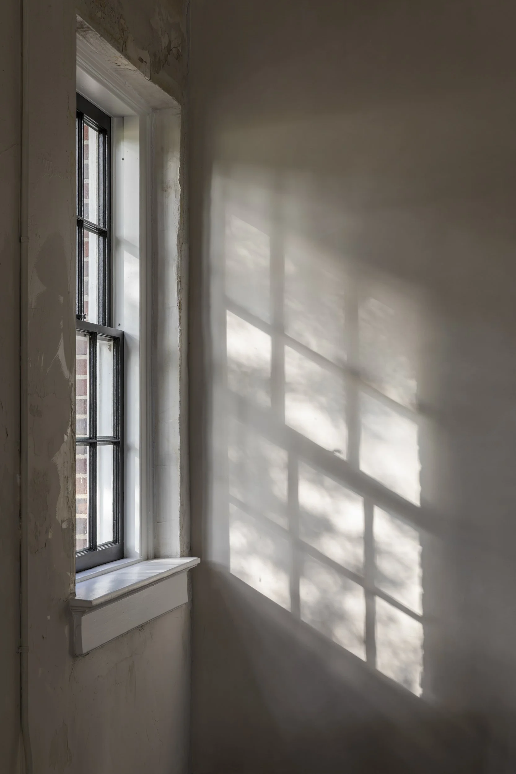 Window light casting a grid shadow across a bare plaster wall at the Patterson