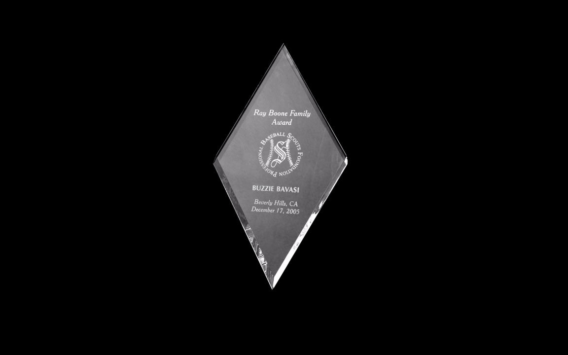 Awarded the Ray Boone Baseball Family Award