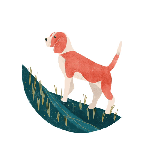 dog.gif