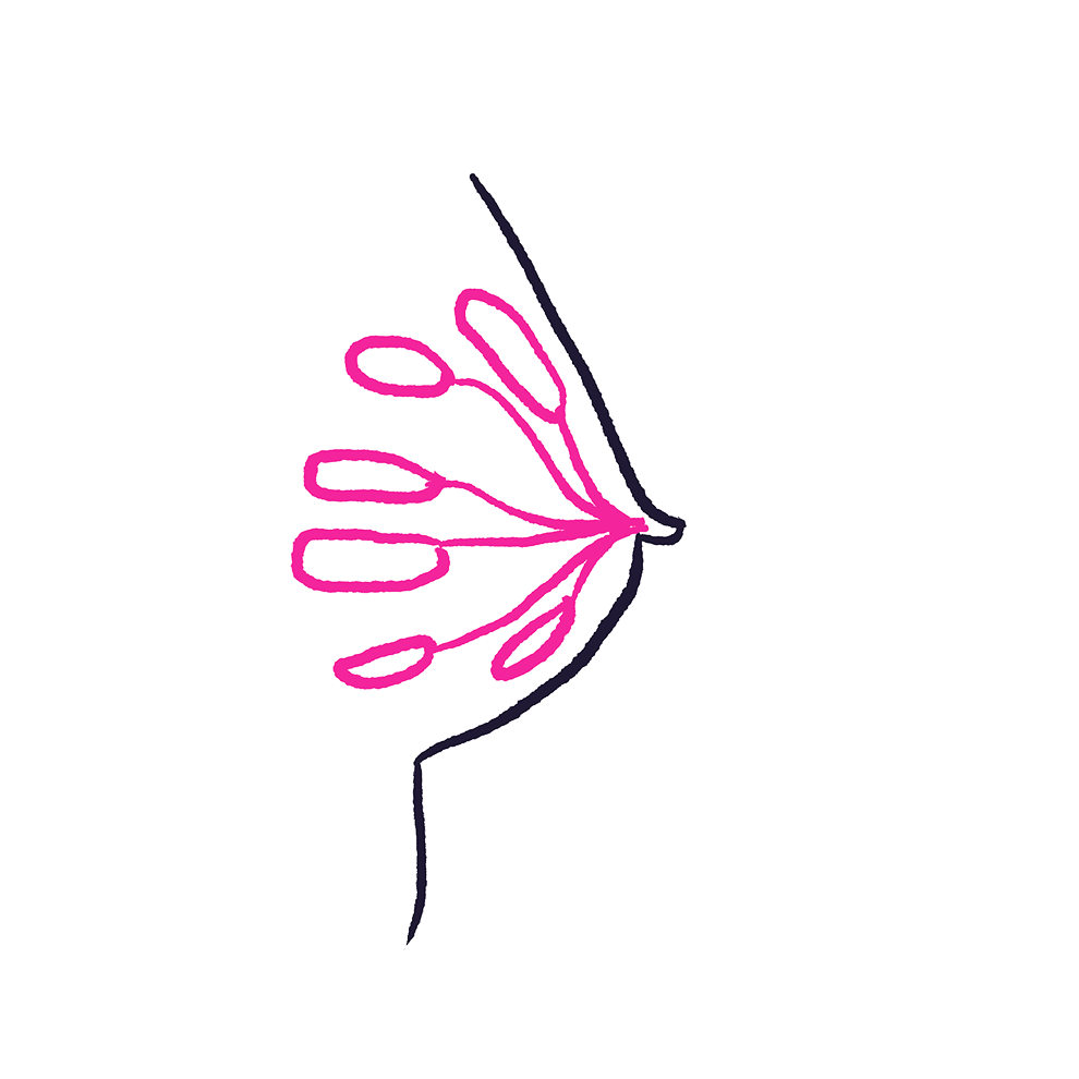ILLOS_r3Artboard-20-Normal-Breast.png