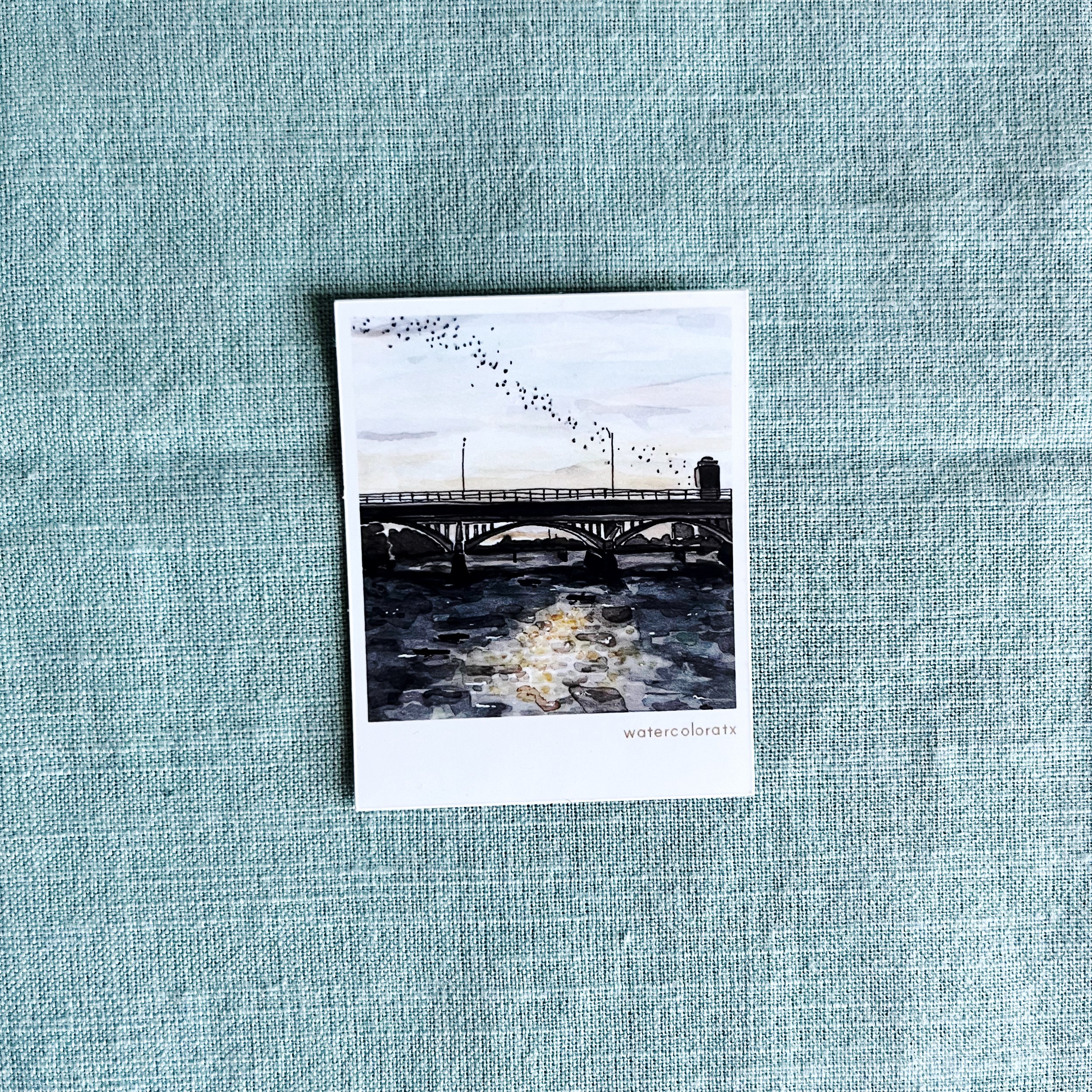 congress ave bats polaroid.JPG