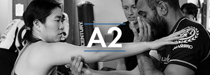 A2_header.png