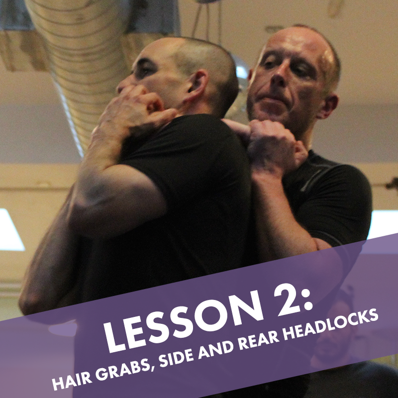 Lesson 2: Hair Grabs, Side and Rear Headlocks