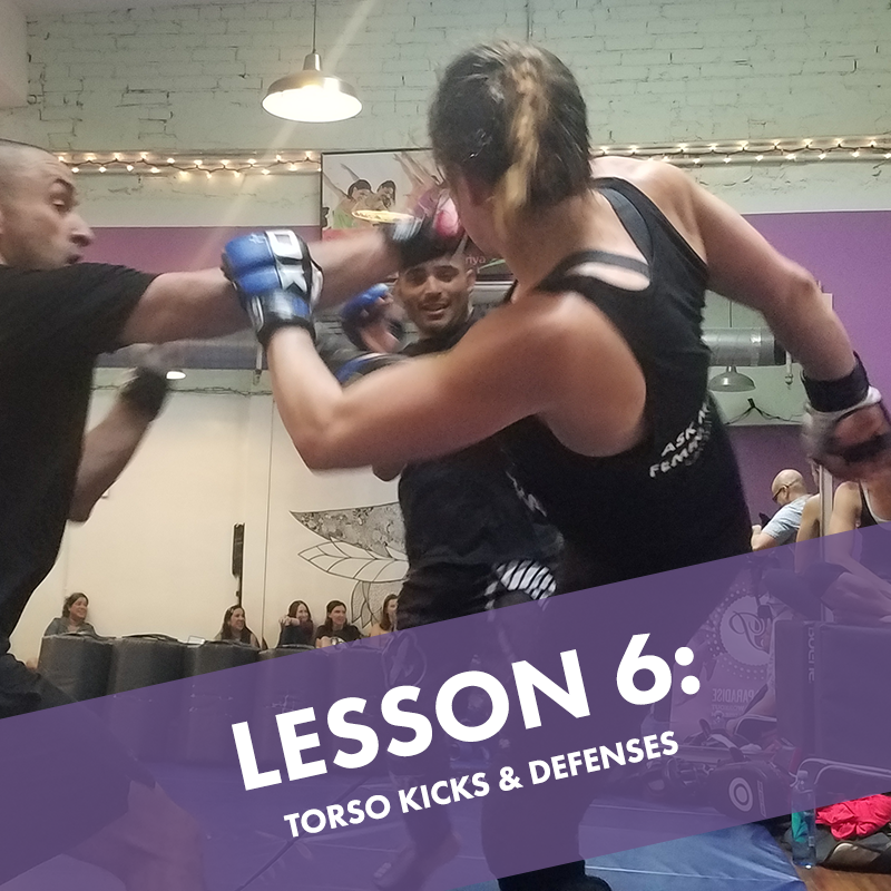 Lesson 6: Torso Kicks & Defenses