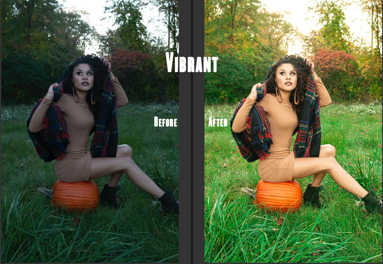 Vibrant Preset.jpg