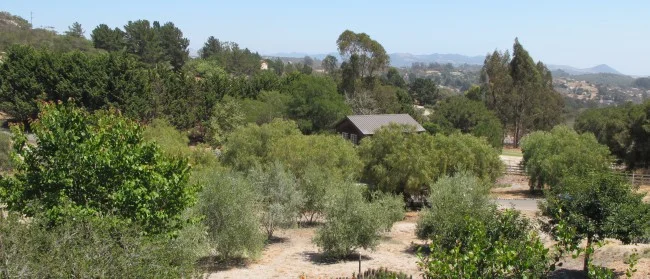 Yes, that’s the Art Barn nestled among the landscape. Beautiful!