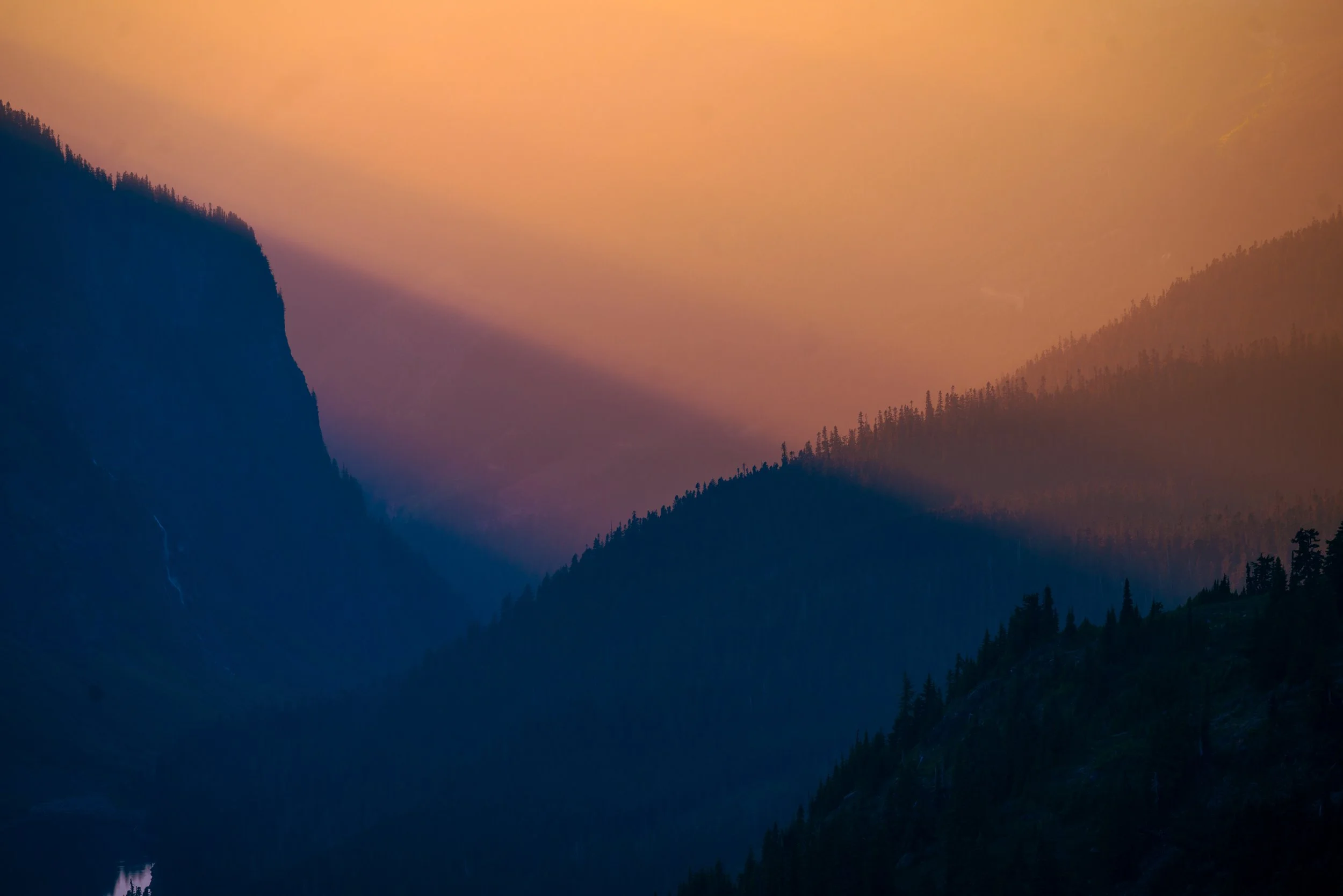 DSC01881.jpg