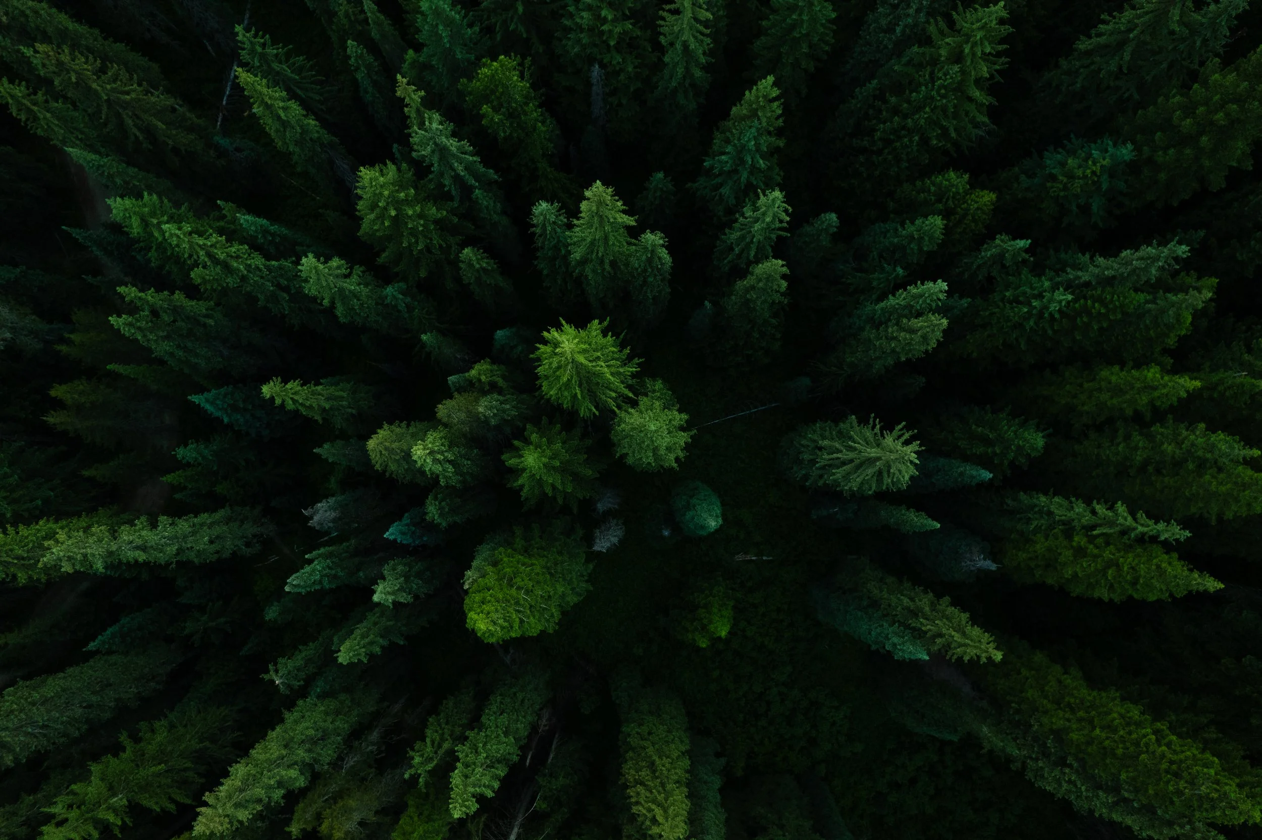 DJI_0606.jpg