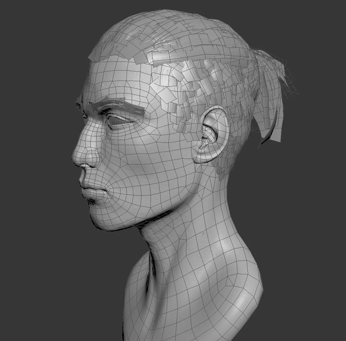 bust_wireframe.jpg