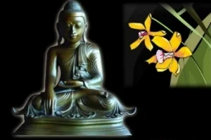 LAMAI THAI MASSAGE