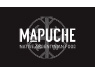 mapuche_large.jpg