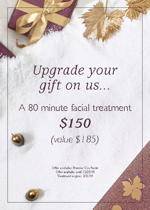 Holiday-Treatment-BtqOffer.png