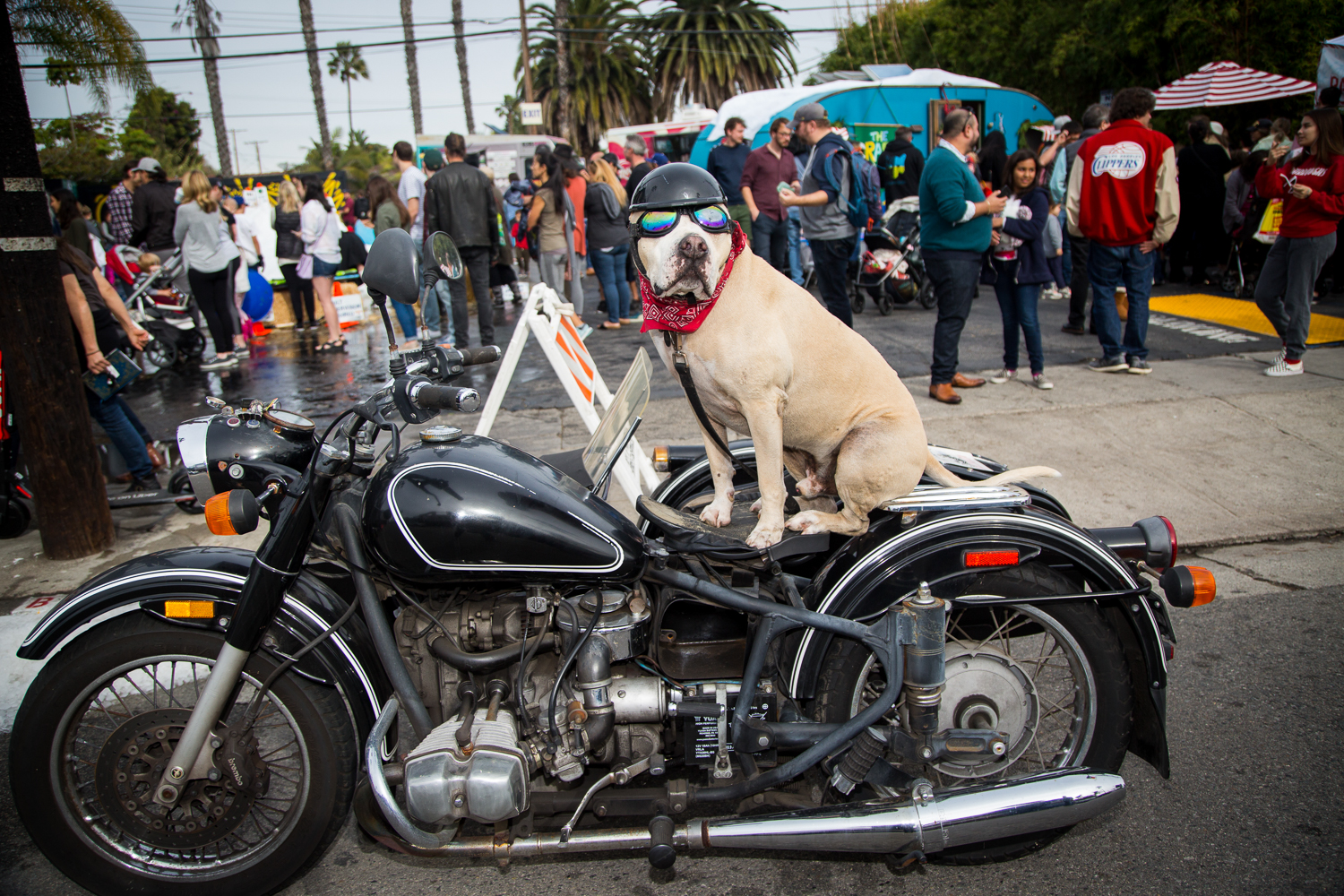 008_Abbot-Kinney-Blvd-Holiday-Party.jpg