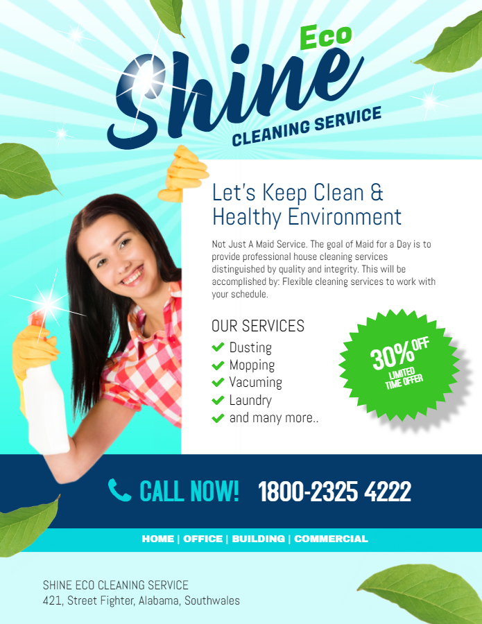 Cleaner service flyer