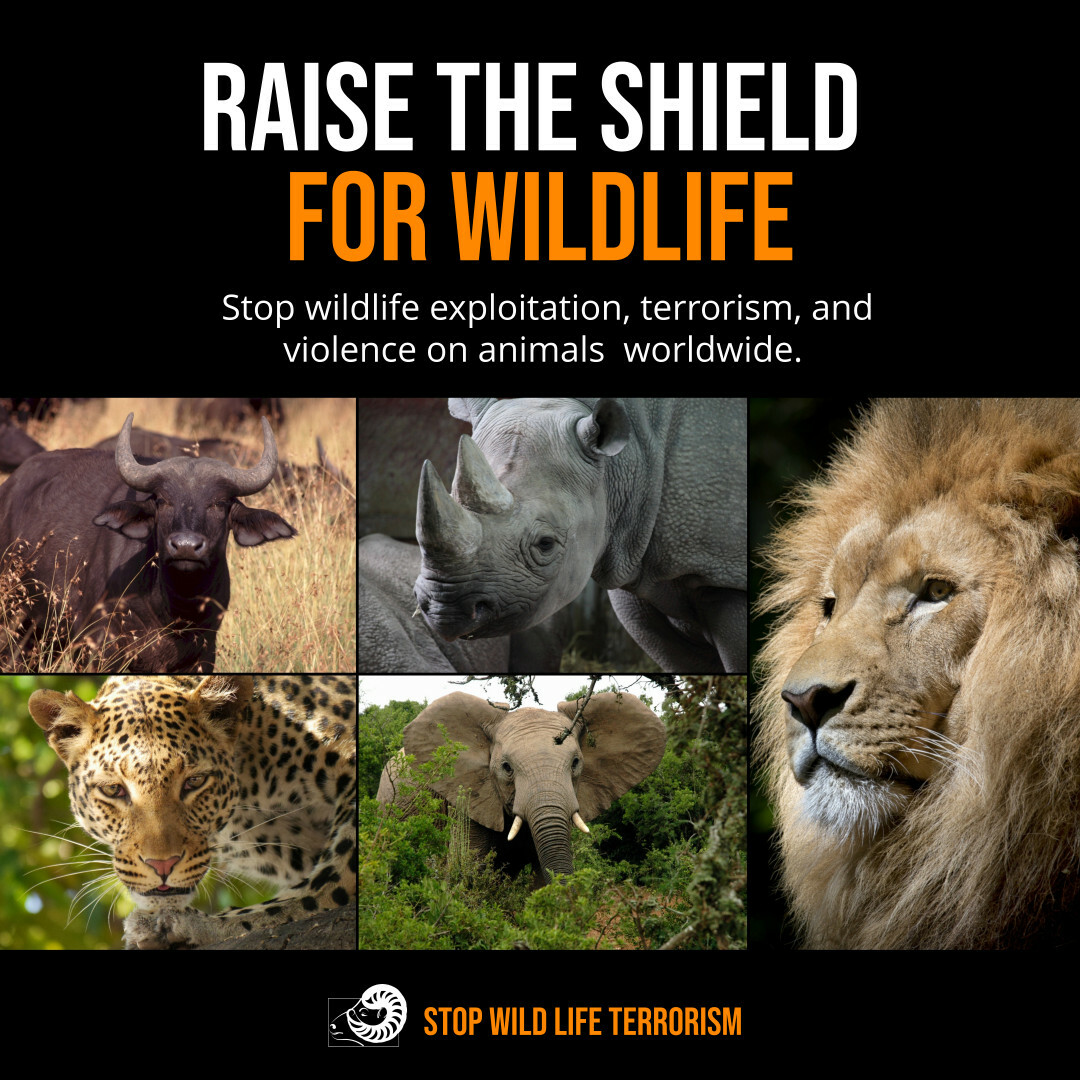 Copy of Against Wildlife Exploitation Instagram Post Template.jpg
