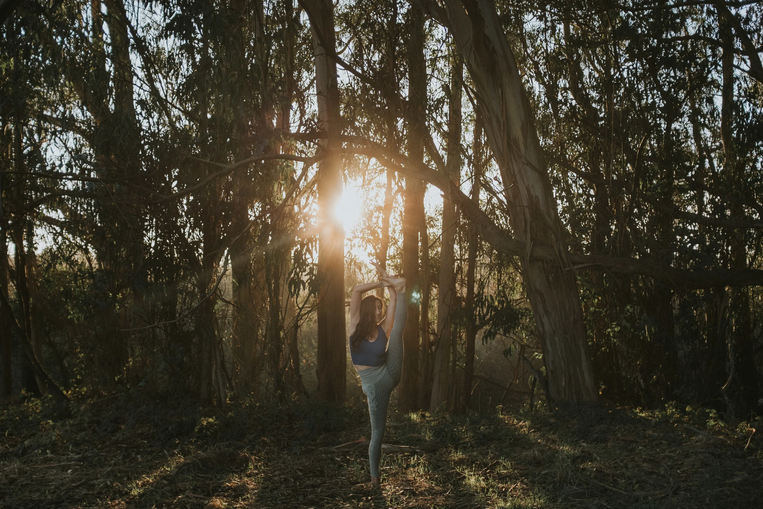 Magnolia Natural Bridges CA Hartman 0026.JPG
