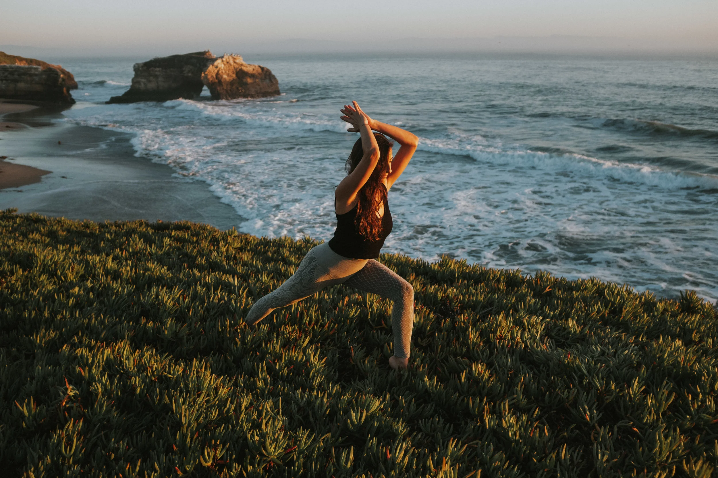 Magnolia Natural Bridges CA Hartman 0078.JPG