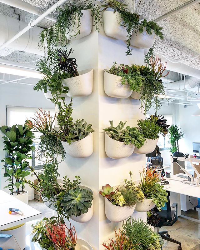 Living wall courtesy of @acme5lifestyle at @cavuventures #livingwall #greenscaping #plants #interiordesign #wallygro #acme5