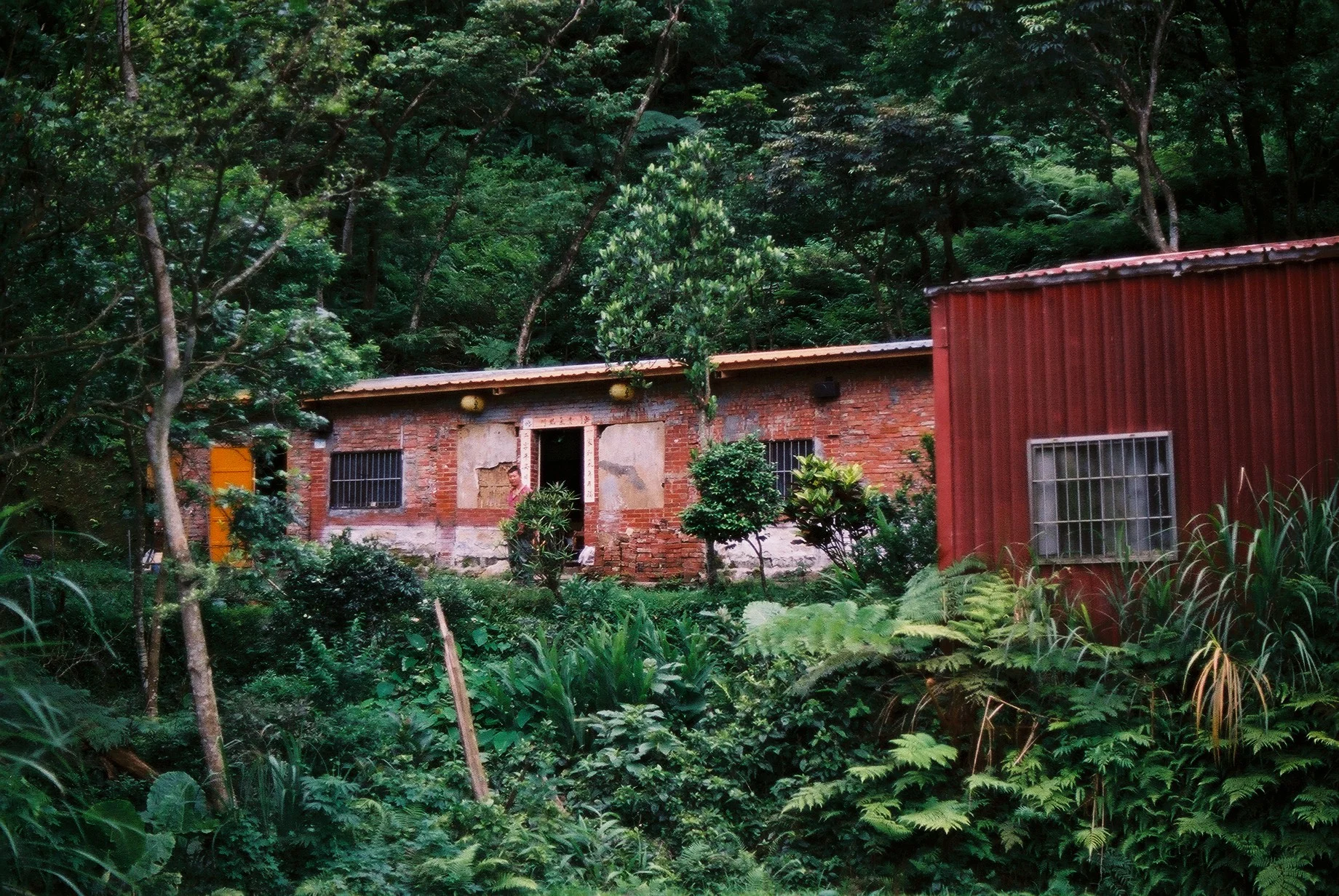 F1000010.JPG