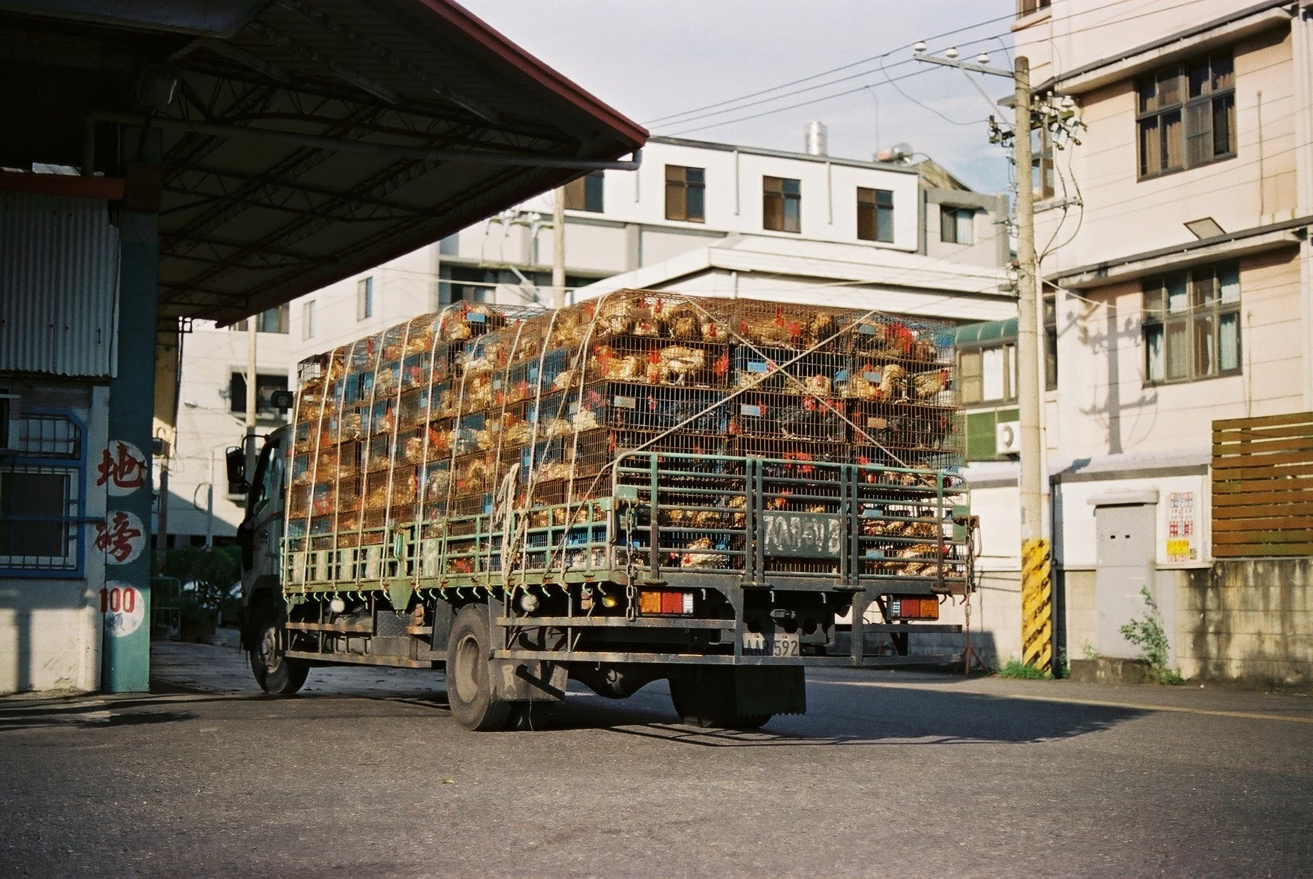 F1000024.JPG