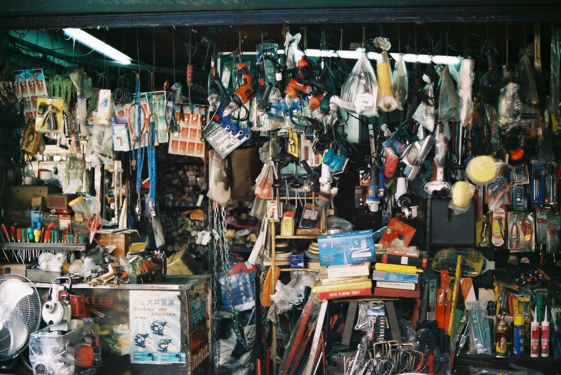 F1020002.JPG