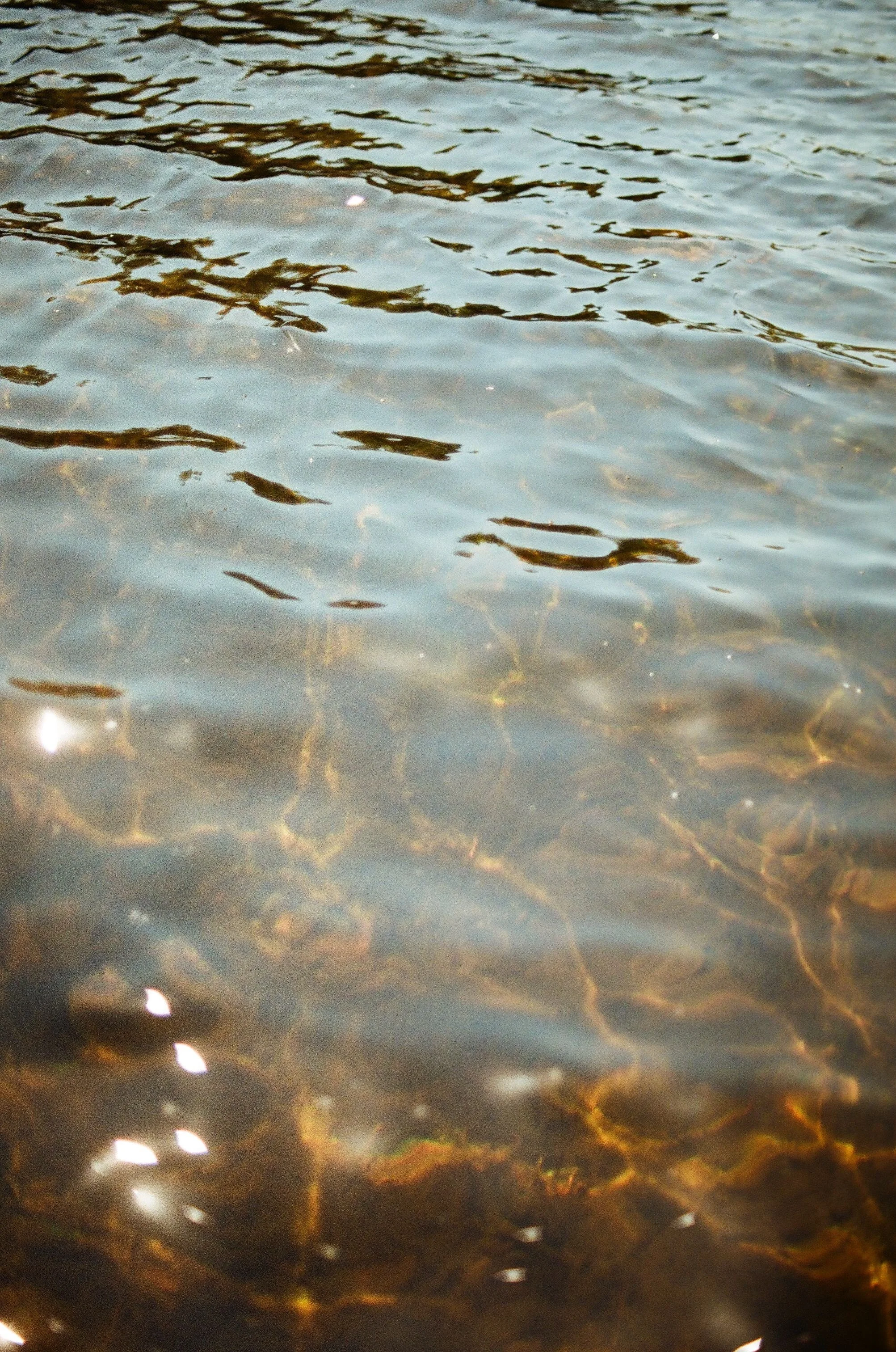 0013_12A.jpg