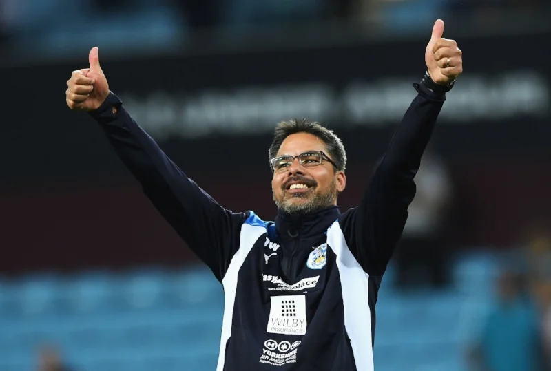 David Wagner - man fornemmer Klopp-inspirationen. Foto: Stu Forster/Getty Images