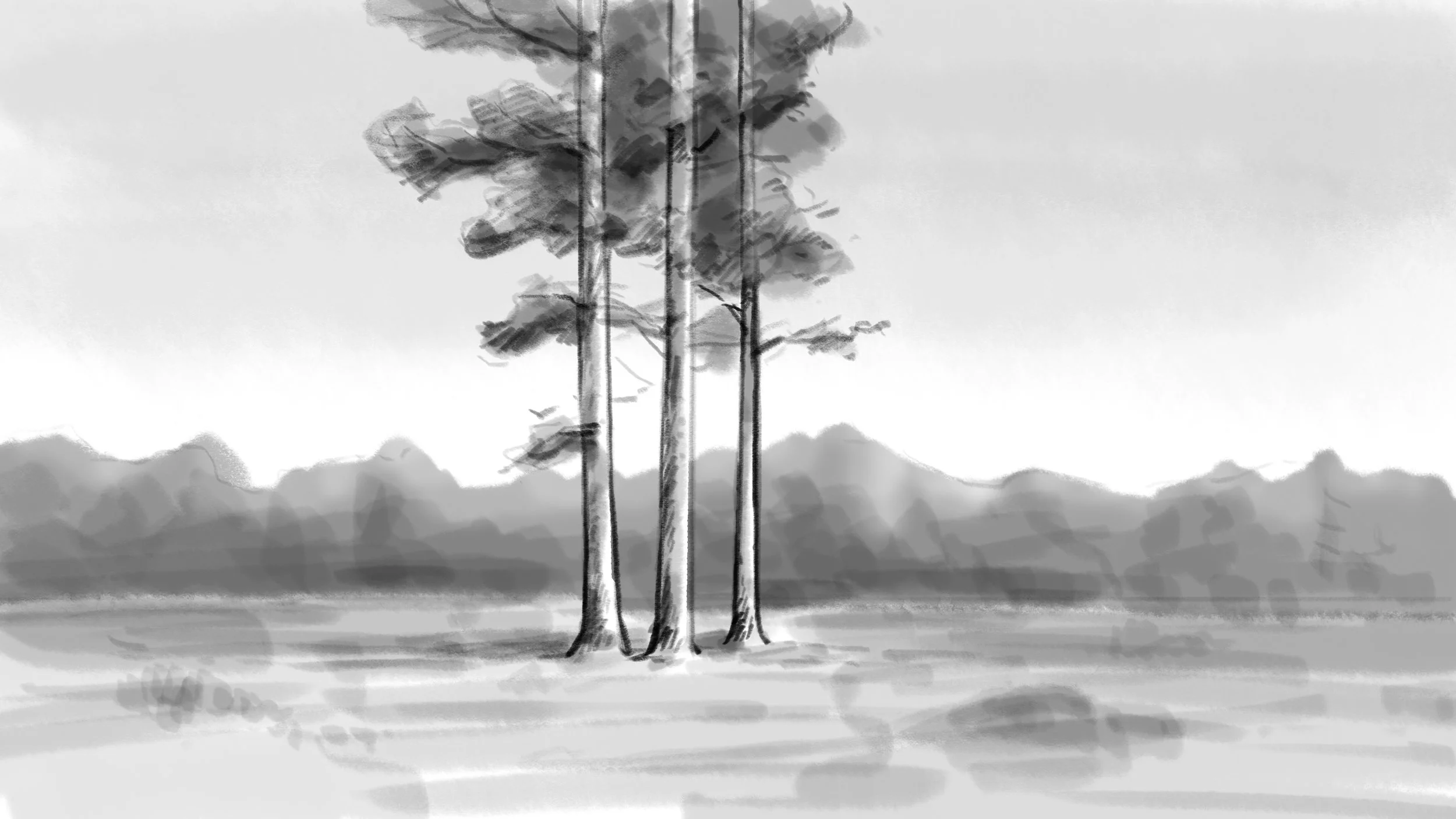 Växande skog 1.jpg