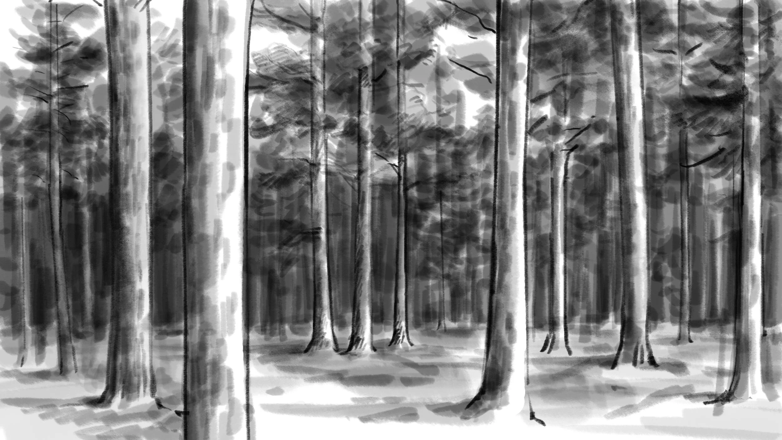 Växande skog 3.jpg