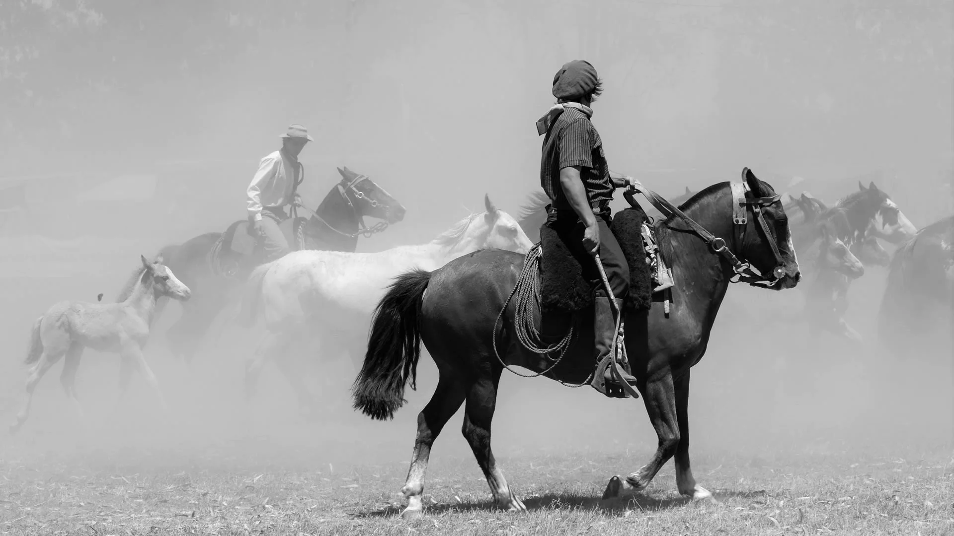 gaucho6.jpg