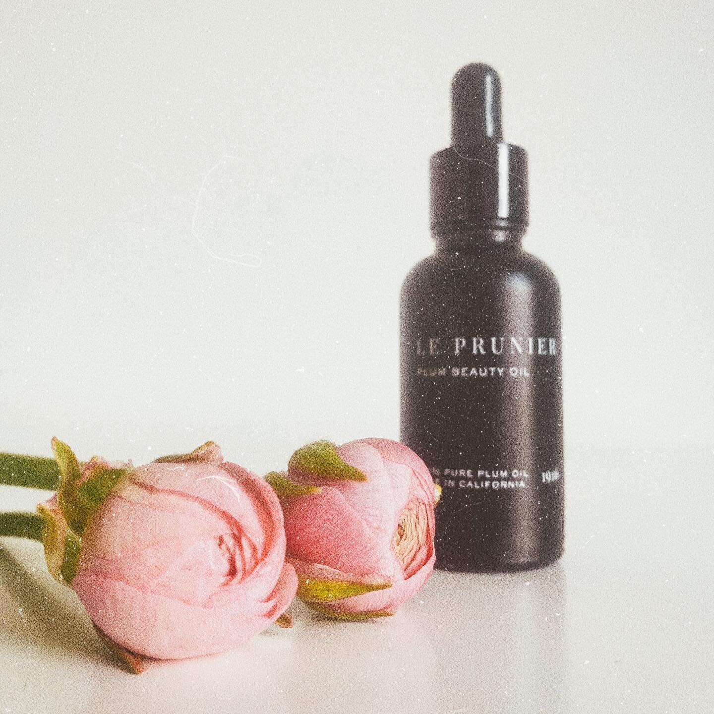 The only face oil 🌸 
Le Prunier deserves every bit of love it gets. Always sold out (got two bottles in the post arriving soon) .. when in stock, hurry, you can thank me later.
Only one I ingredient, organic plum oil - full of omegas, antioxidants a