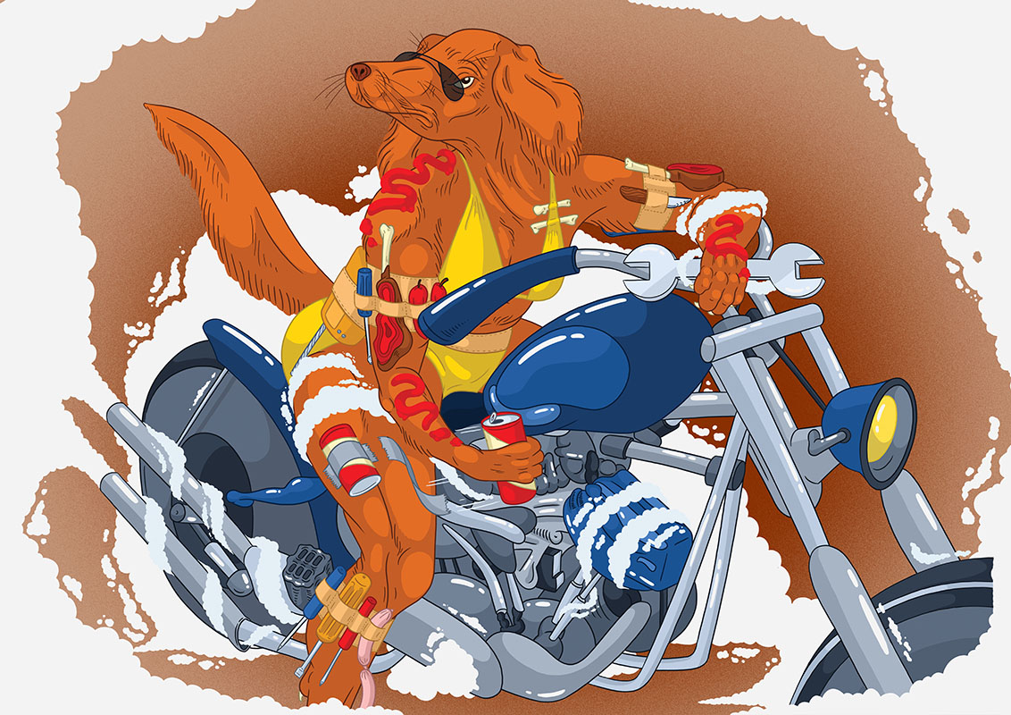 IRISH SETTER_RGB01.jpg