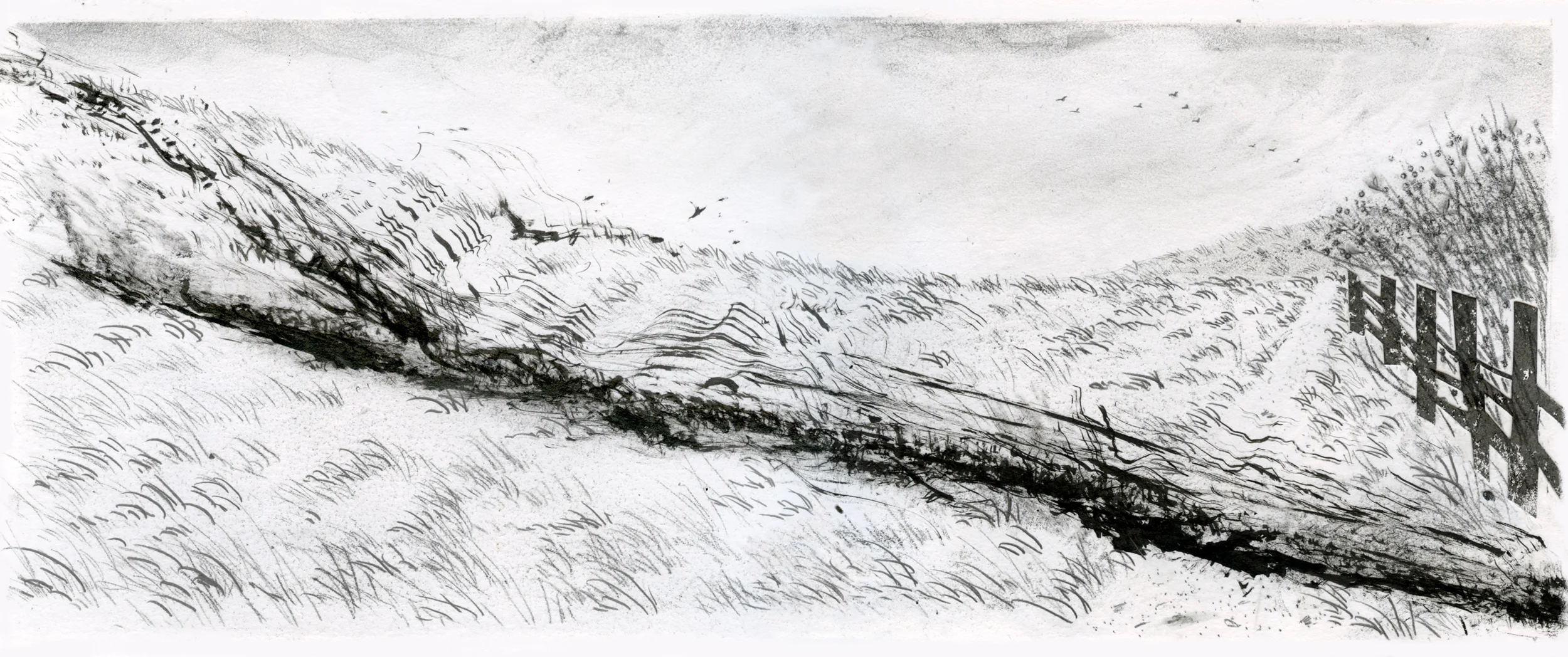 THE WASP FACTORY - Running Dog