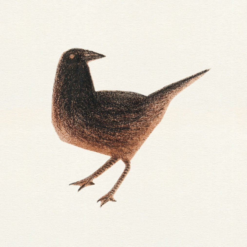 Medieval_bird_Augusta_Akerman.jpg