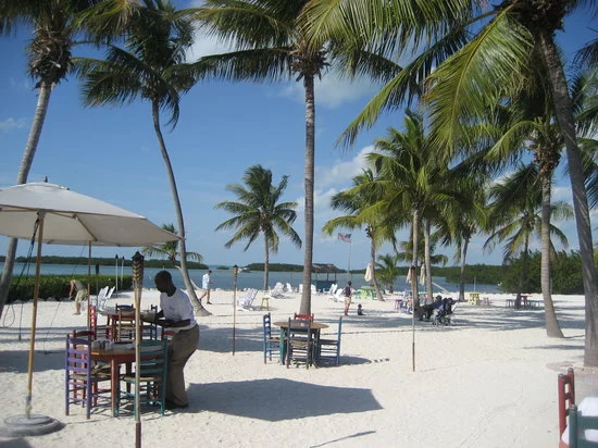 morada-bay-cafe.jpg
