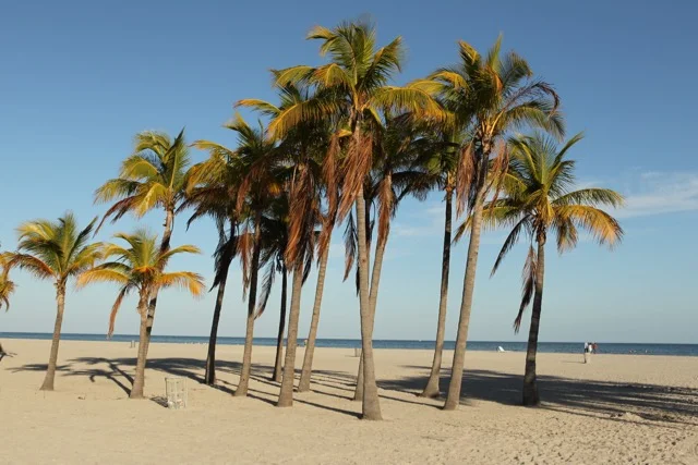 Crandon Park Updated - 28.jpg