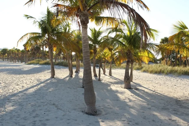 Crandon Park Updated - 27.jpg