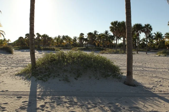 Crandon Park Updated - 17.jpg