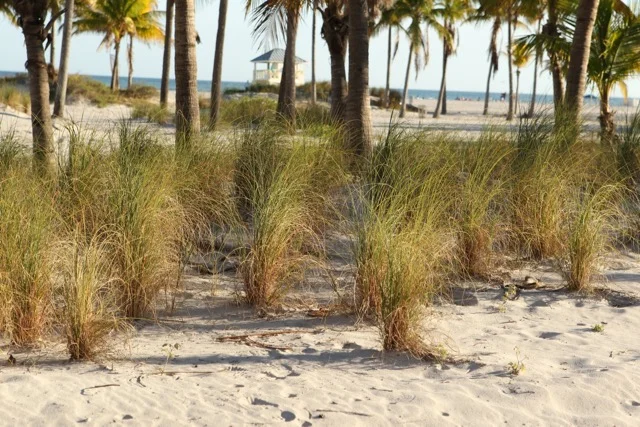Crandon Park Updated - 02.jpg
