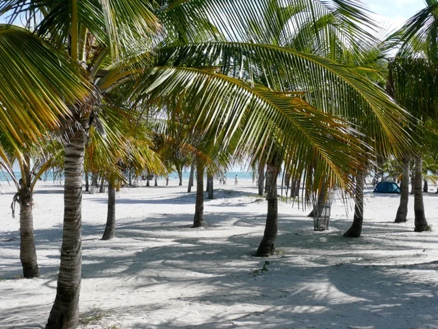 Crandon Park - 38.jpg