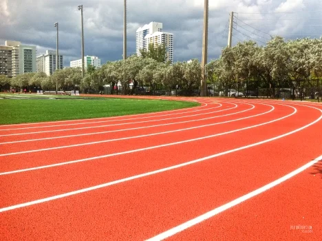 pkd03812_fb_018.jpg