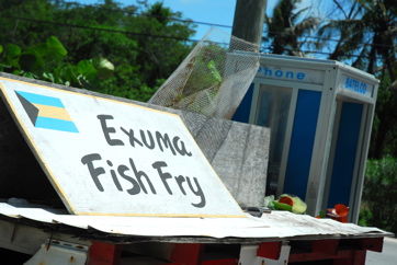 EXM_233.jpg