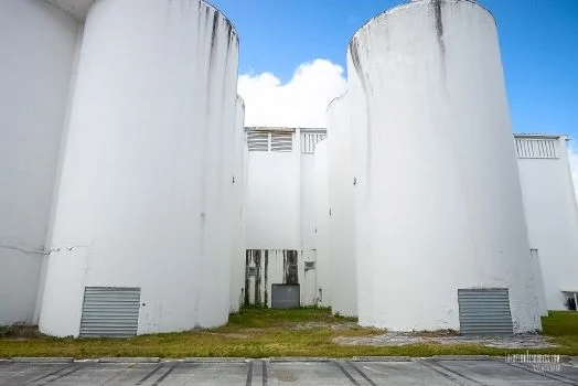 McCray_14.jpg