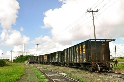 McCray_37.jpg