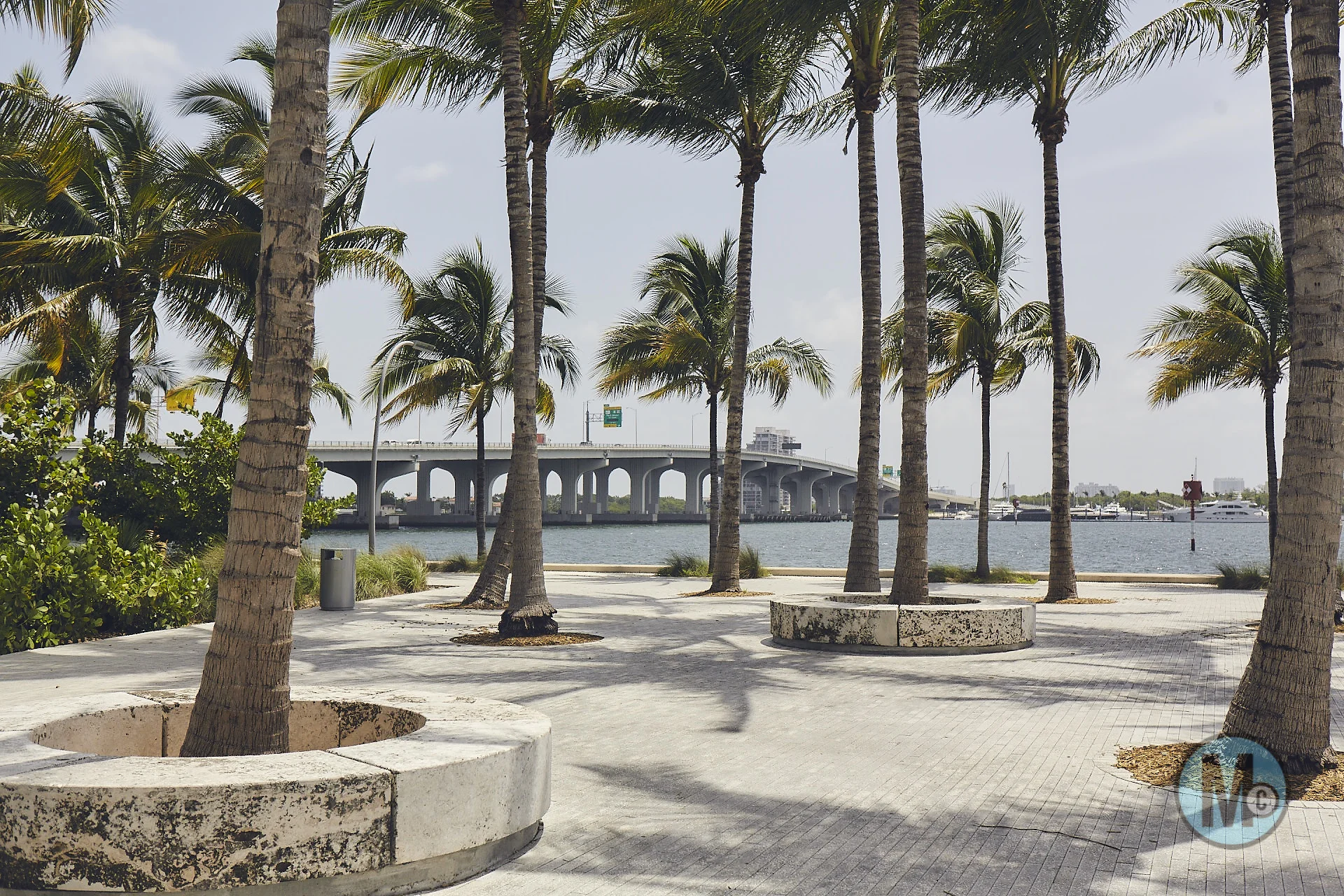 2017_08_03_iain_mccray_martin_miami_scout__0638.jpg