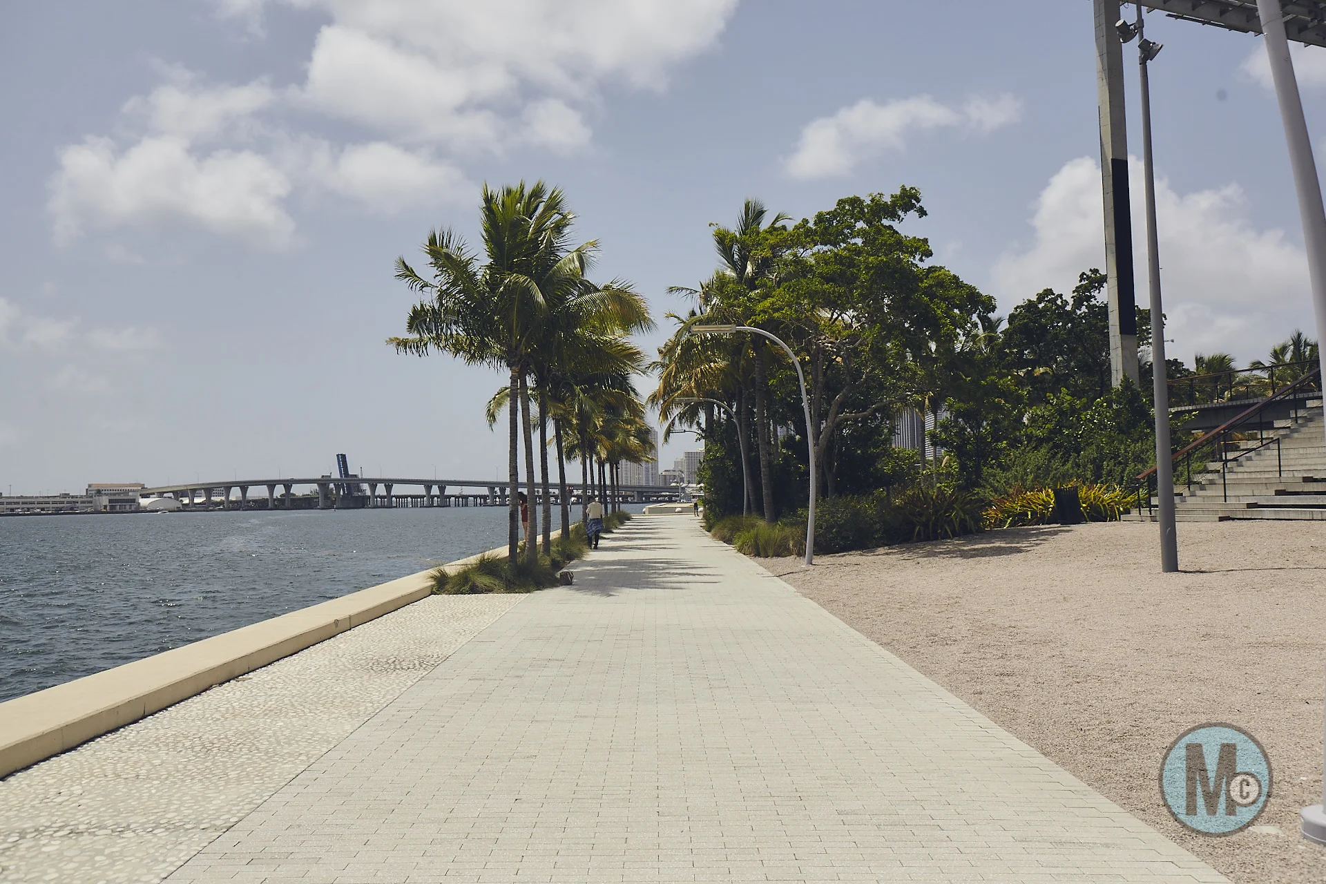 2017_08_03_iain_mccray_martin_miami_scout__0896.jpg