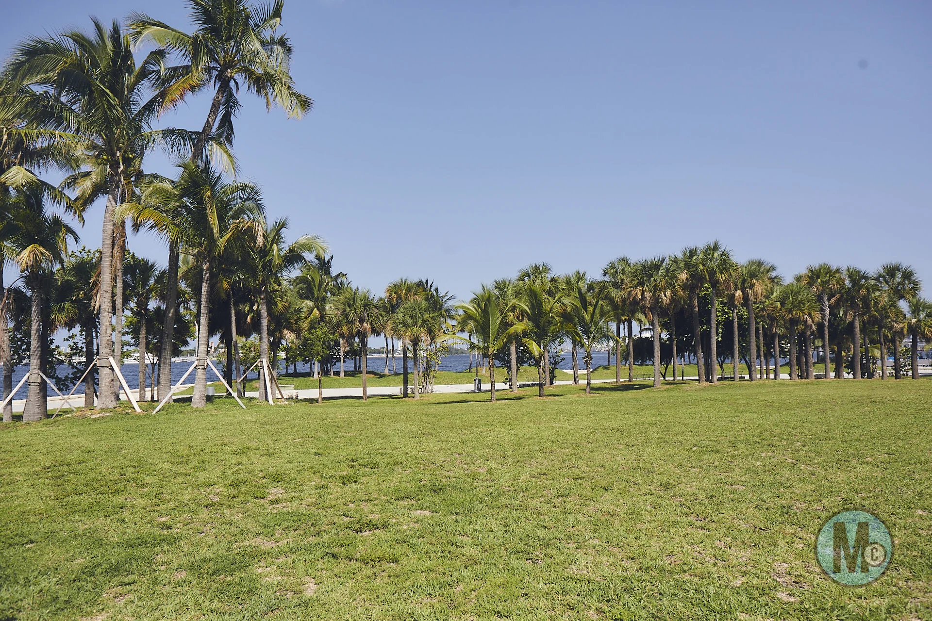 2017_08_03_iain_mccray_martin_miami_scout__3249.jpg