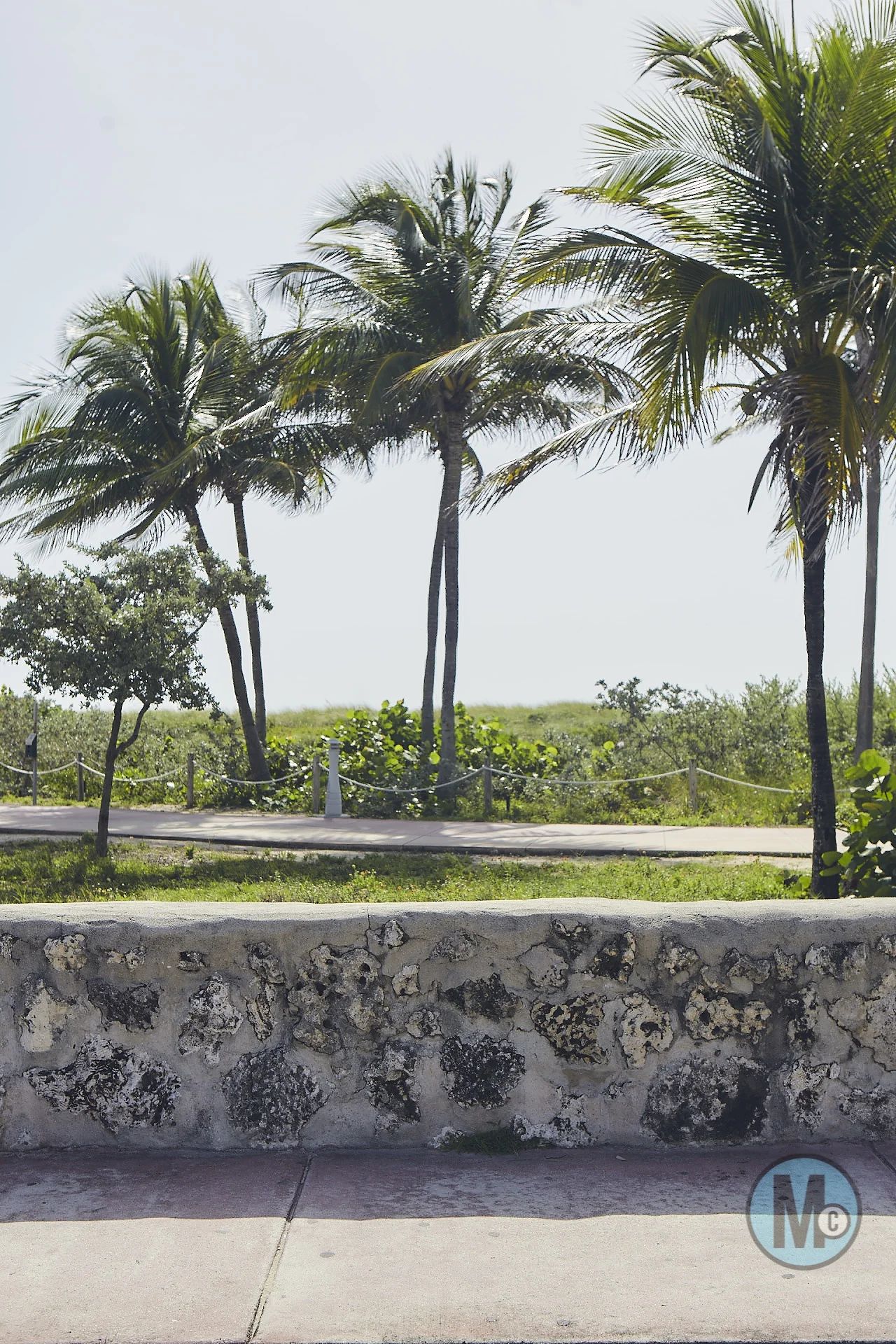 2017_08_03_iain_mccray_martin_miami_scout__0079.jpg