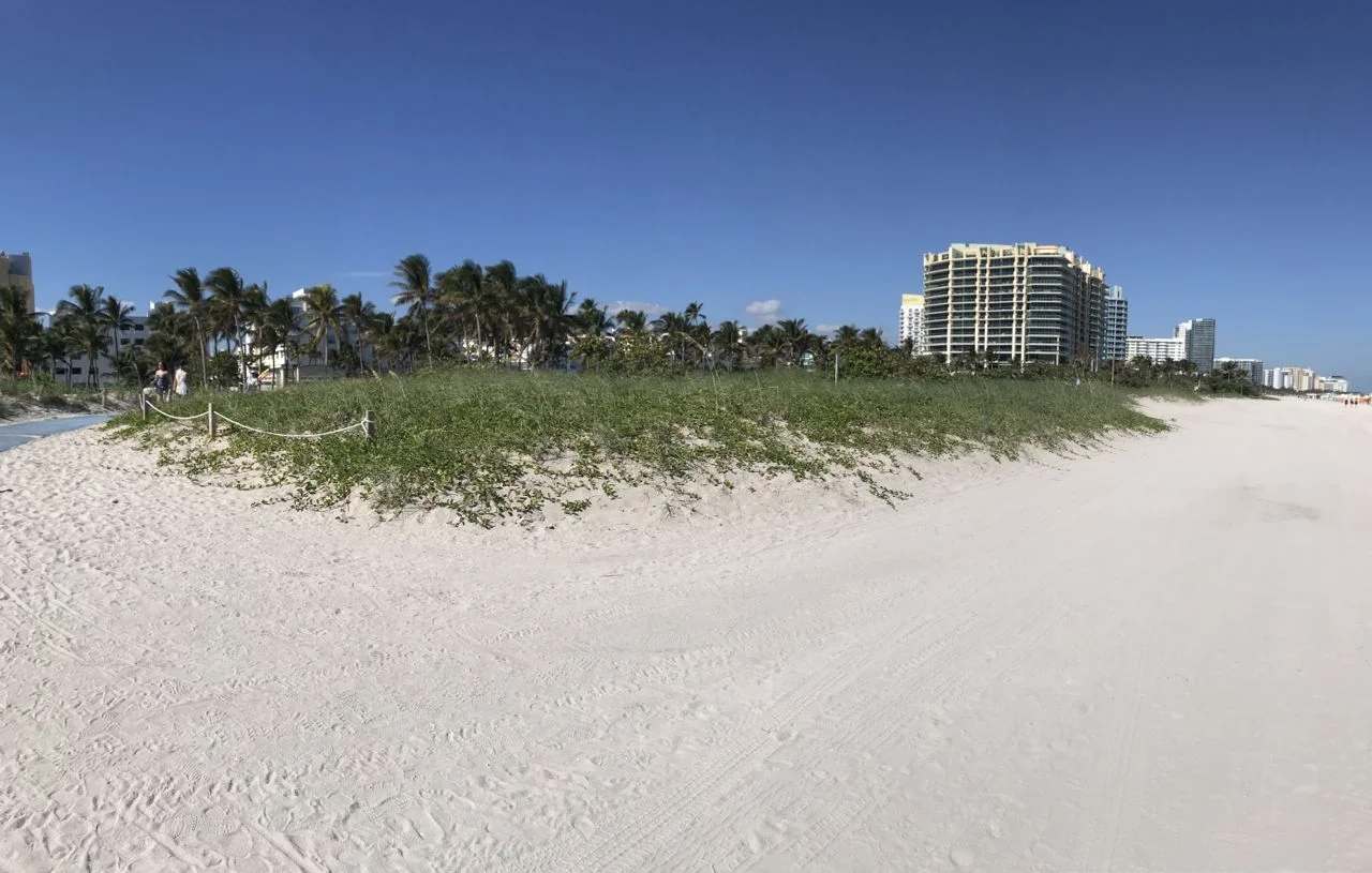IMG_2482.jpg